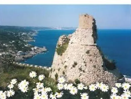 Casa de Férias Casa Ippazia